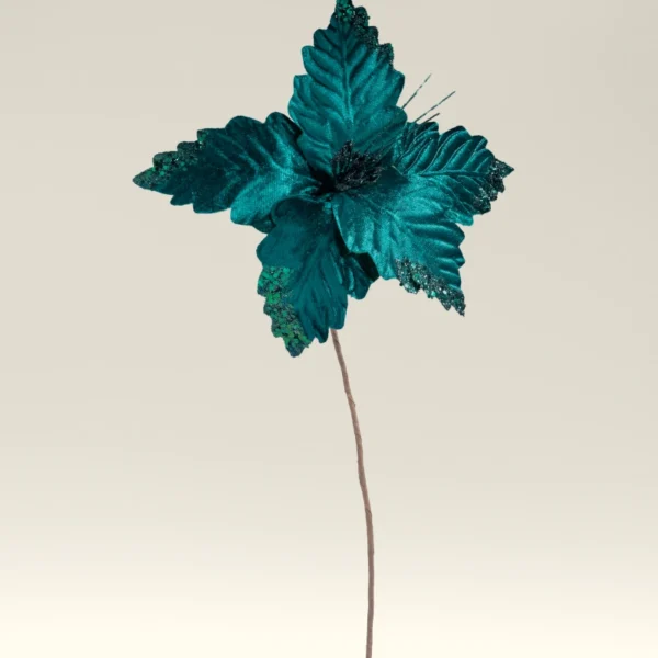 BOX DE 6 POINSETTIA  VERDE OSCURO