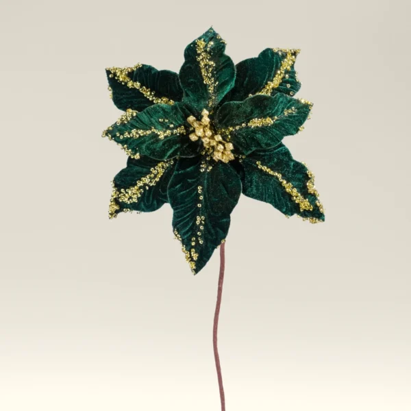 BOX DE 4 POINSETTIA  VERDE CON BORDE BLANCO